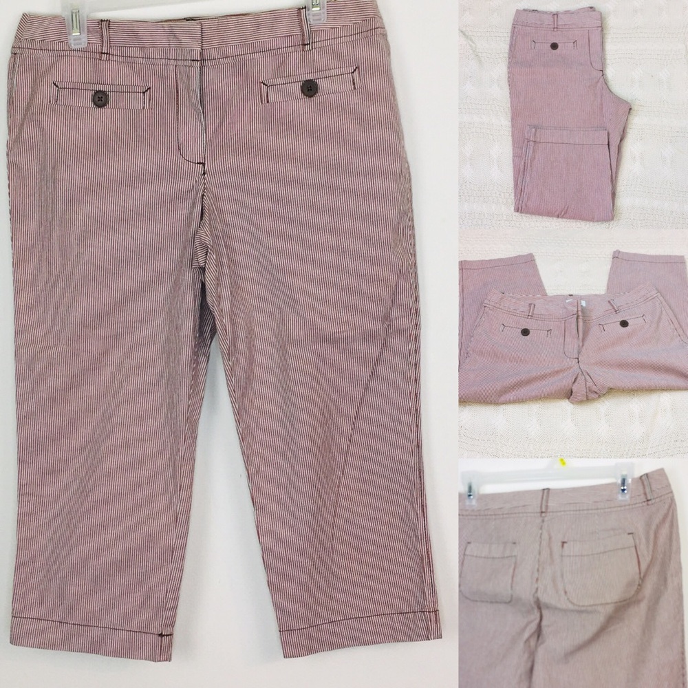 Ann Taylor LOFT Pants